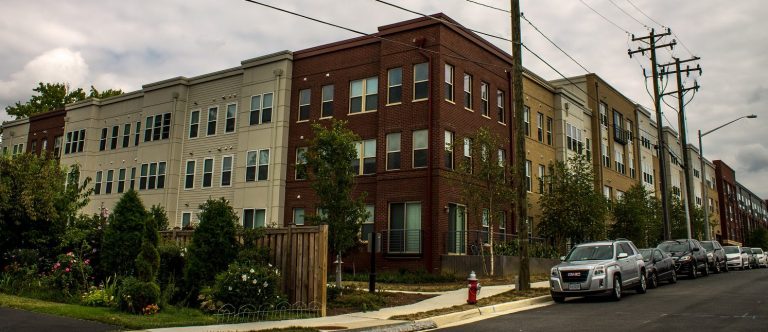 The Shelby rear 1 e1492541267973 2 768x332