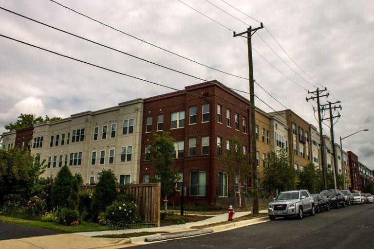 The Shelby rear 768x512