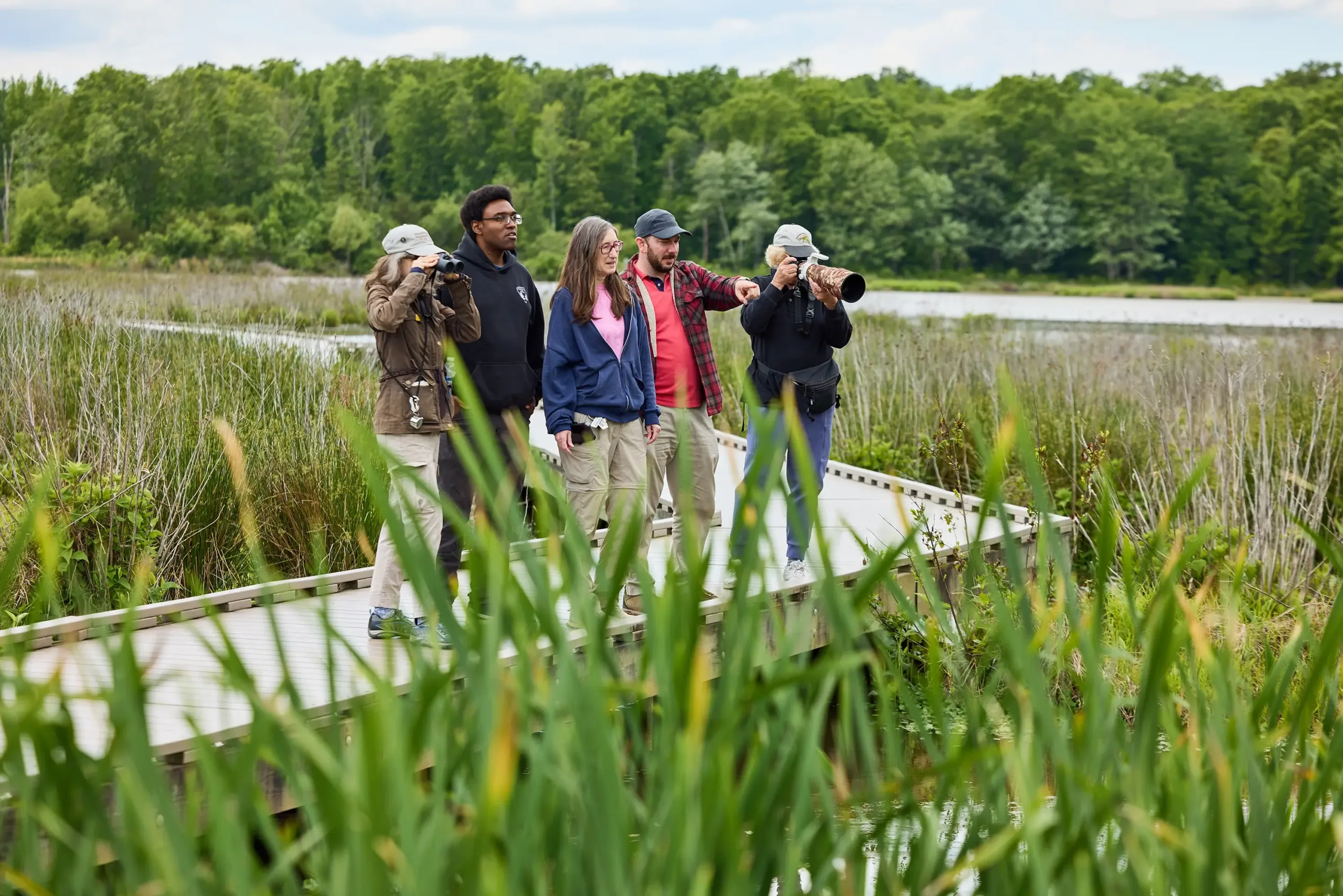 Visitors birdwatch from the boardwalk at Huntley Meadows Park.
